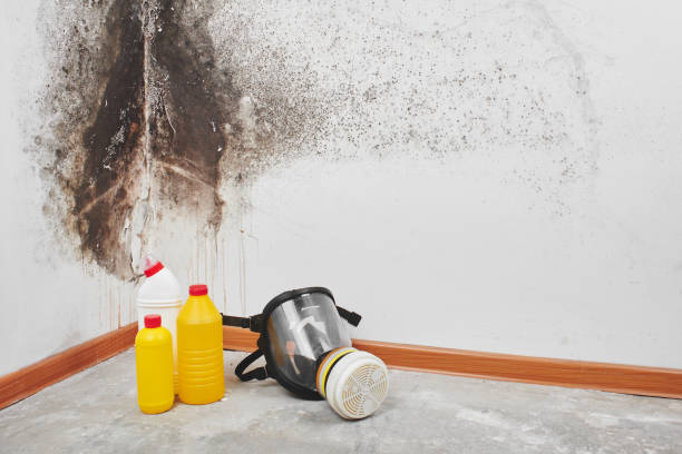 Cross Plains, WI Mold Remediation Company