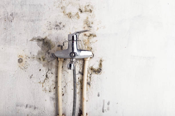 Best Localized Mold Remediation (e.g., coastal areas, humid climates) in Cross Plains, WI