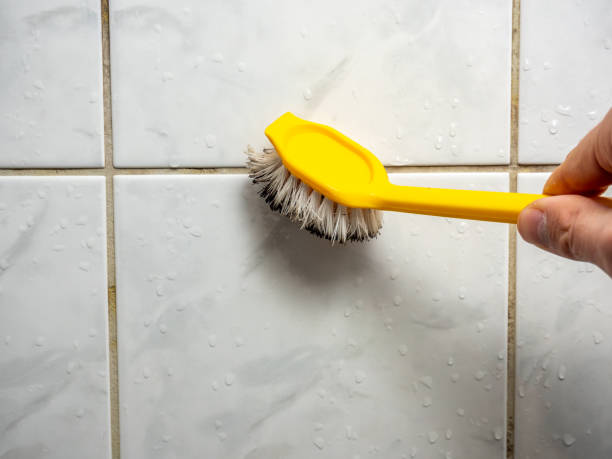 Best Residential Mold Remediation in Cross Plains, WI